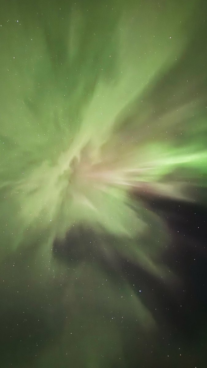 Carlos Velasco tweet media