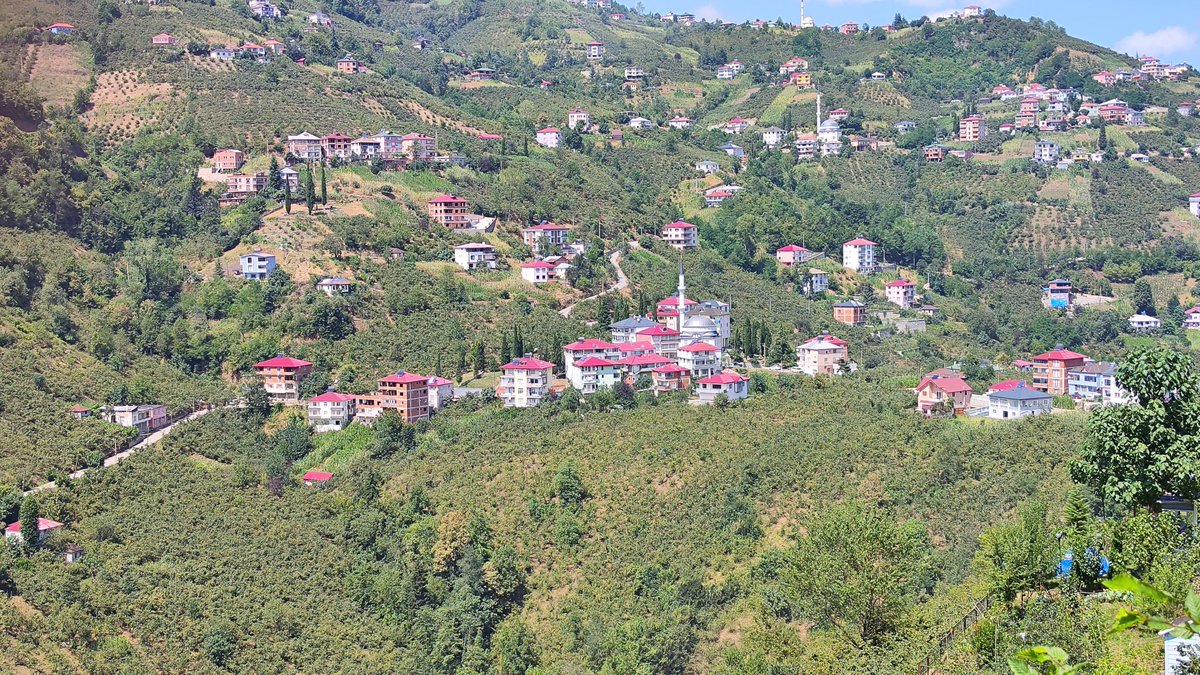 boyvatli61's tweet photo. @Kuzeyekspres61 https://t.co/pqBBXqVkKC

Akçaabat/Fındıklı Köyü https://t.co/Taiptp22kY
