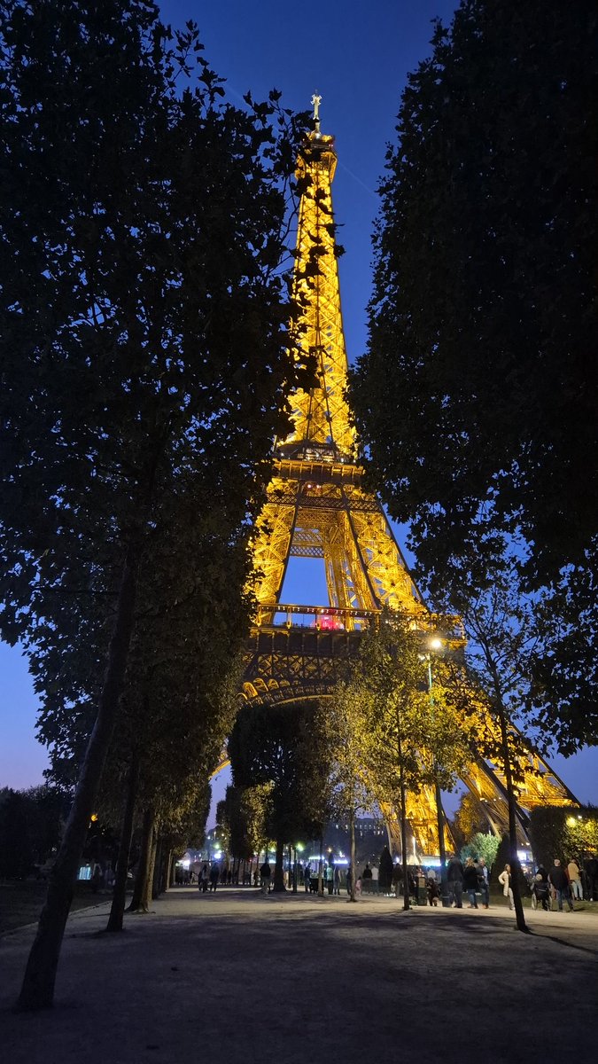 deadssandra's tweet image. The #eiffeltower #paris #france by night