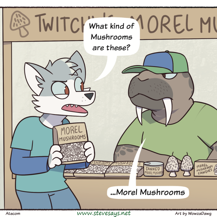 Steve Says Webcomic tweet media