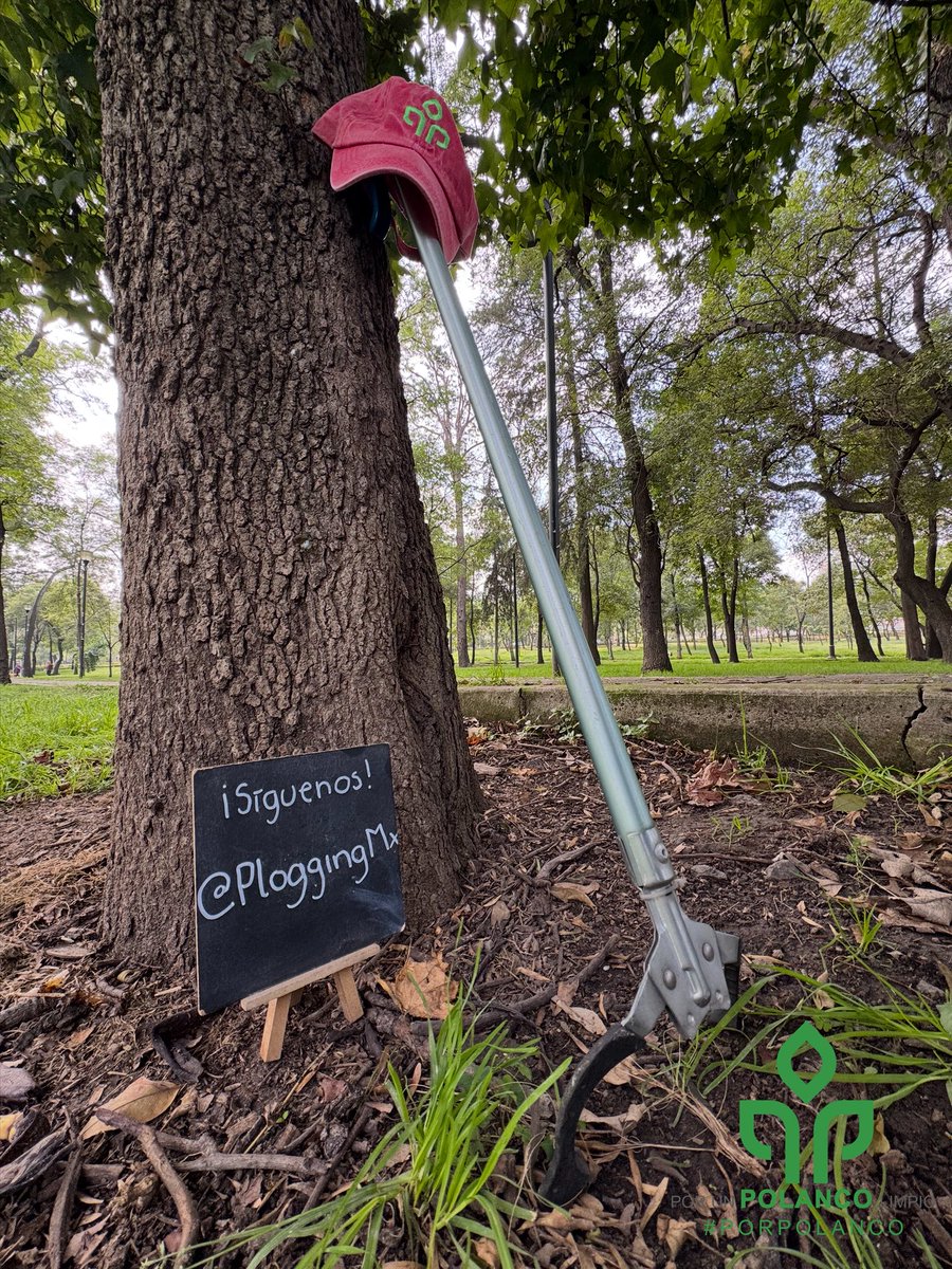 PorPolanco's tweet photo. Un evento lleno de buena vibra con @ploggingmx @bioboxoficial @danini.eco @wceco y @alcaldiamhmx 🚯🗑️♻️

#PorPolanco https://t.co/dHMPevZPrl