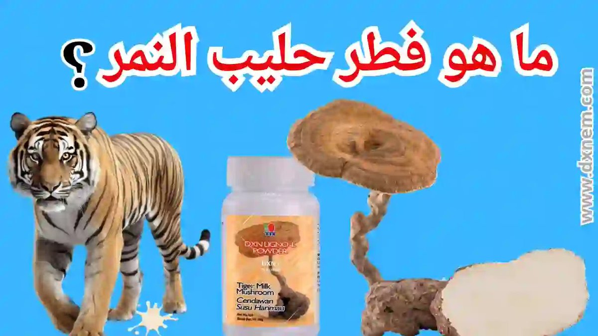yellowstore2025's tweet photo. كان "أبو خالد" يعاني من الربو والسعال لسنوات، تعب من الأدوية والبخاخات 💔حتى جرّب فطر حليب النمور من DXN 📷بدأ يتنفس بسهولة، وعاد يمشي كل صباح بابتسامة 📷 #DXN #فطر_حليب_النمور #صحة_طبيعية #قصة_شفاء #منتجات_DXN
https://t.co/Dy0TpBXdCQ https://t.co/tkDpcGJnpd