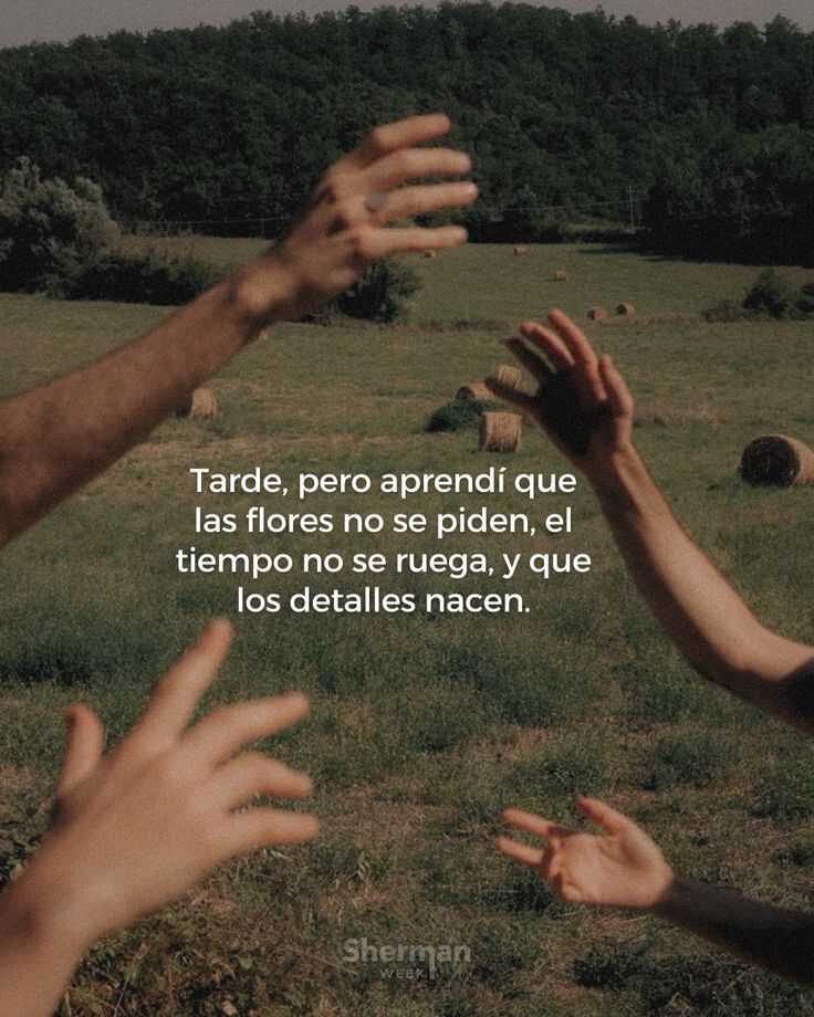 así es.