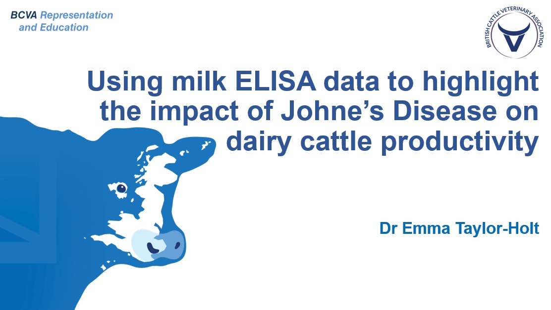 Grateful to <a href="/theBCVA/">BCVA</a> for the chance to present our research at the 2025 Congress in Edinburgh. Our study explored how Johne’s Disease milk ELISA results relate to cattle productivity, great to discuss findings with such an engaged group of veterinary professionals. <a href="/IDEXX/">IDEXX</a>