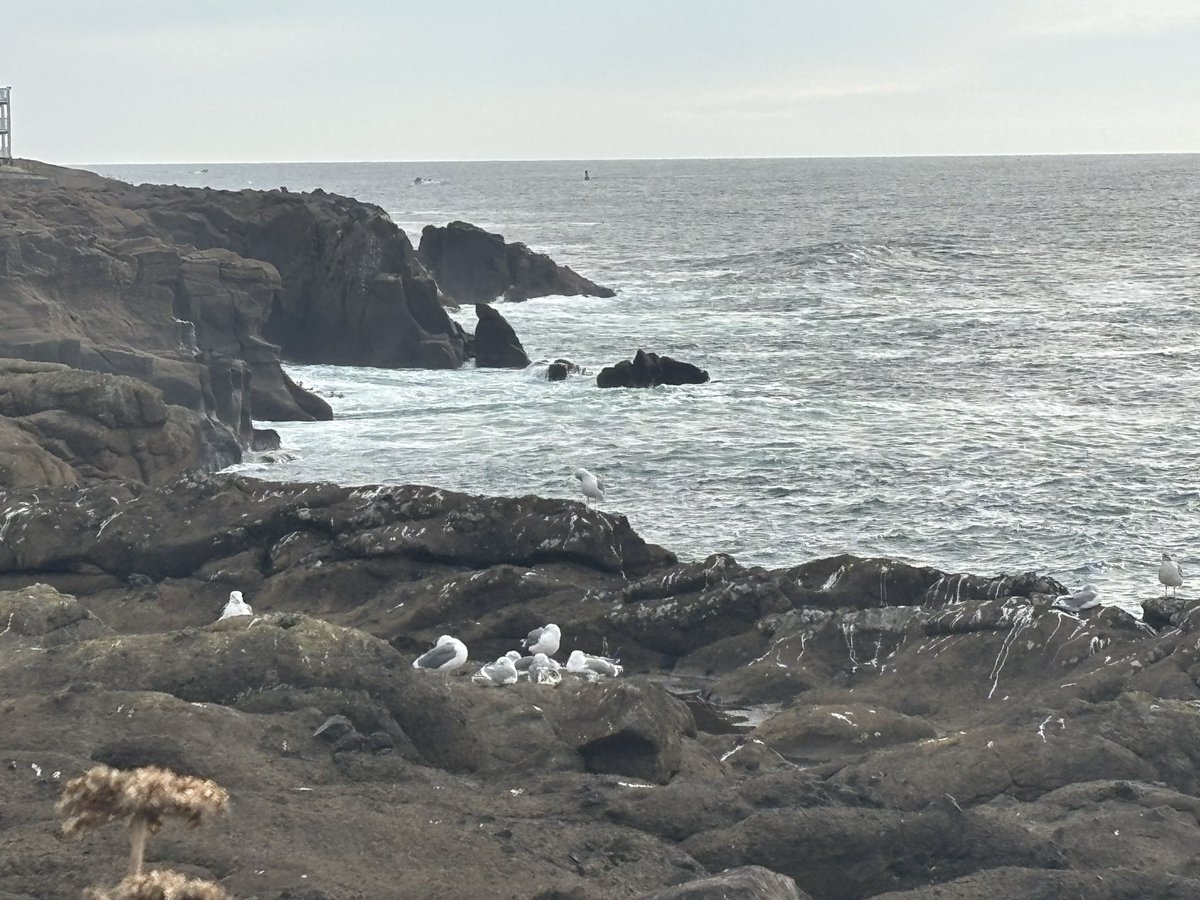 Chris Bennett tweet media