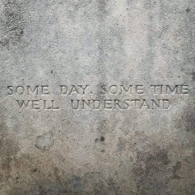 Louvain Rees ⚰️ tweet media