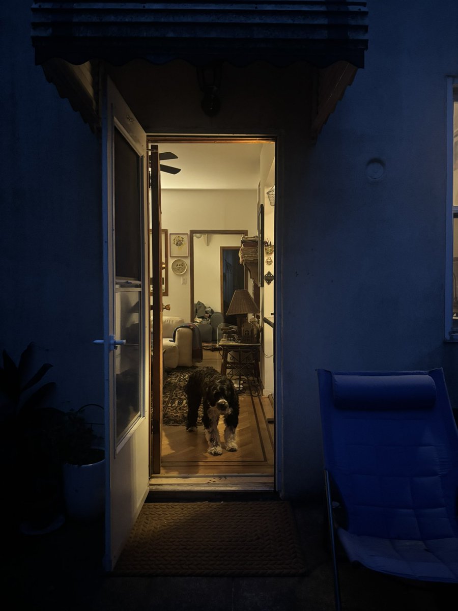 amigomezc's tweet image. 