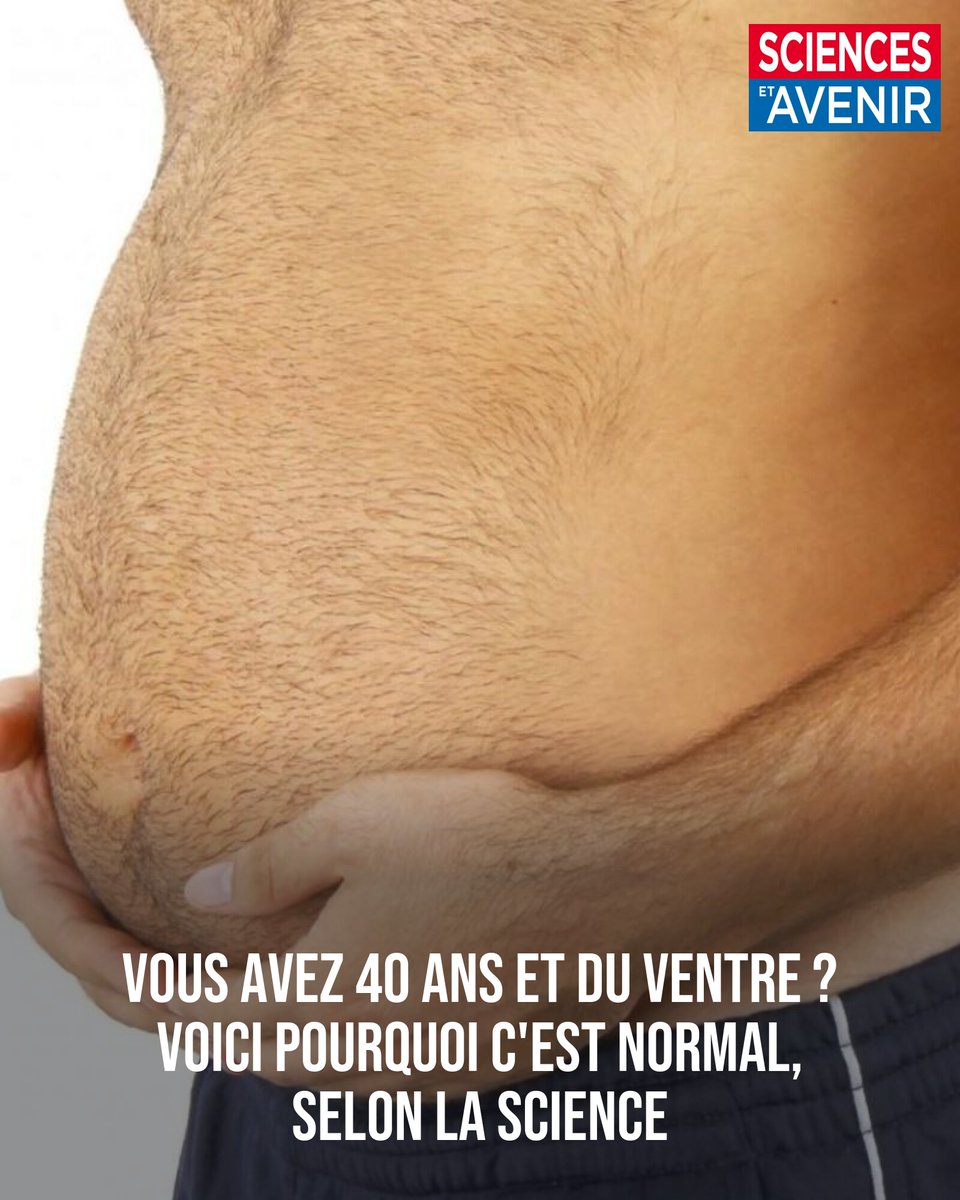 Sciences_Avenir's tweet image. Vous pouvez assumer votre "bedaine", c'est la science qui le dit !
👉 l.sciencesetavenir.fr/tlX