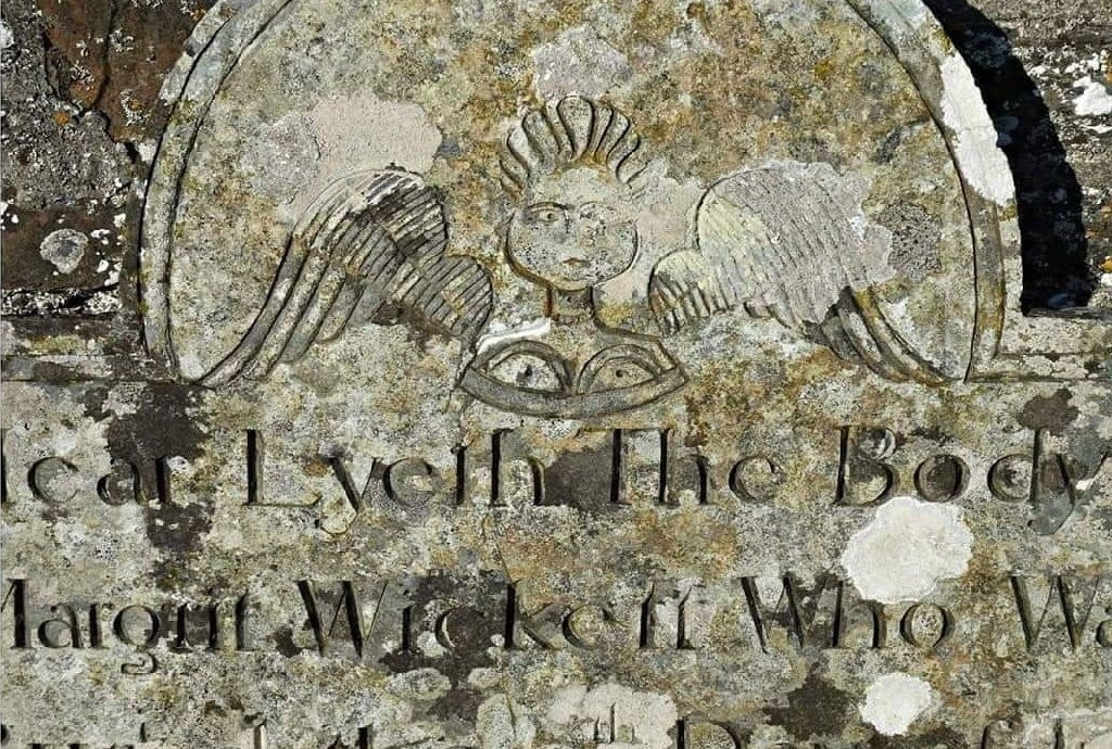 Louvain Rees ⚰️ tweet media