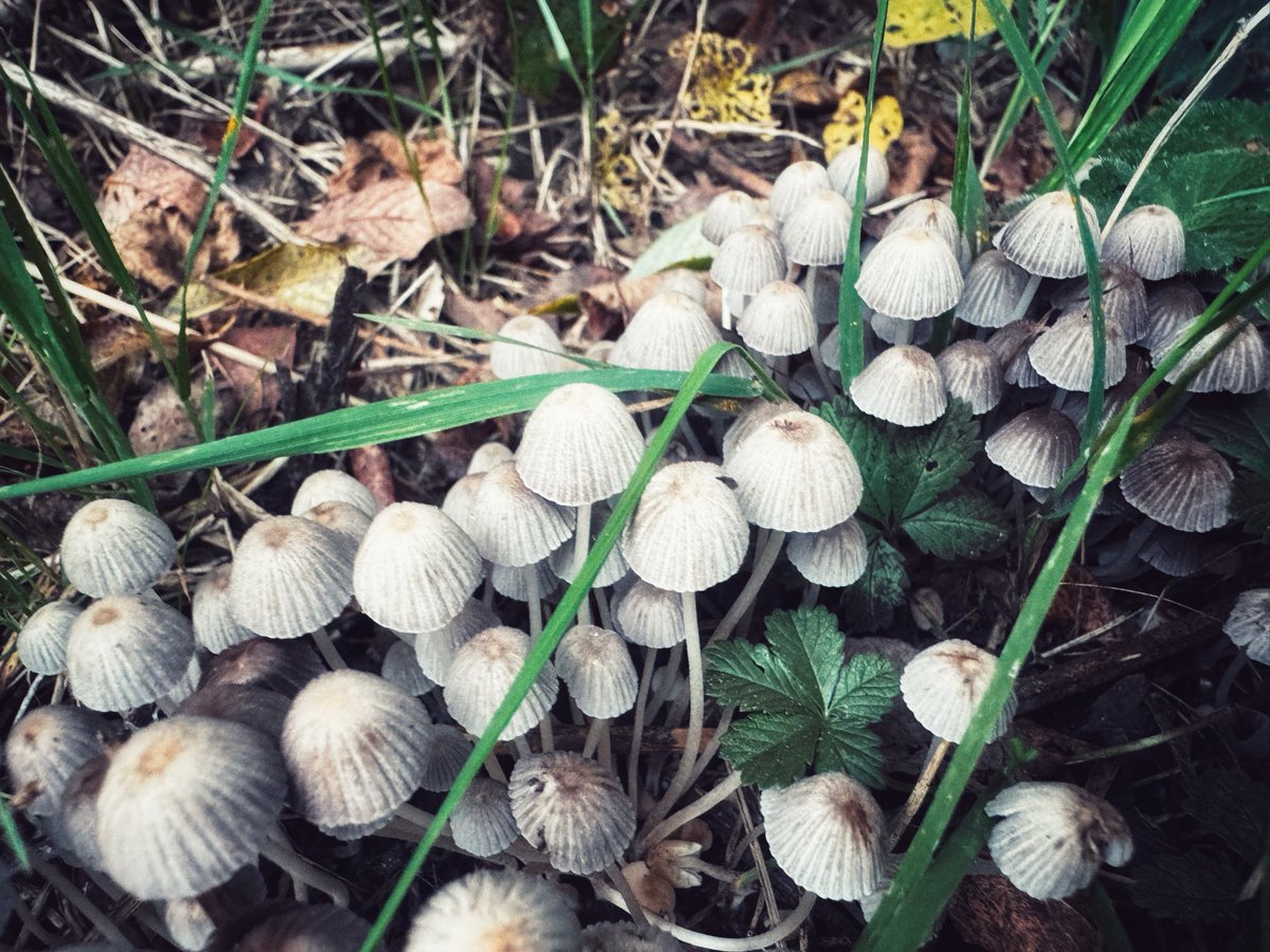 Guy Parsons tweet media