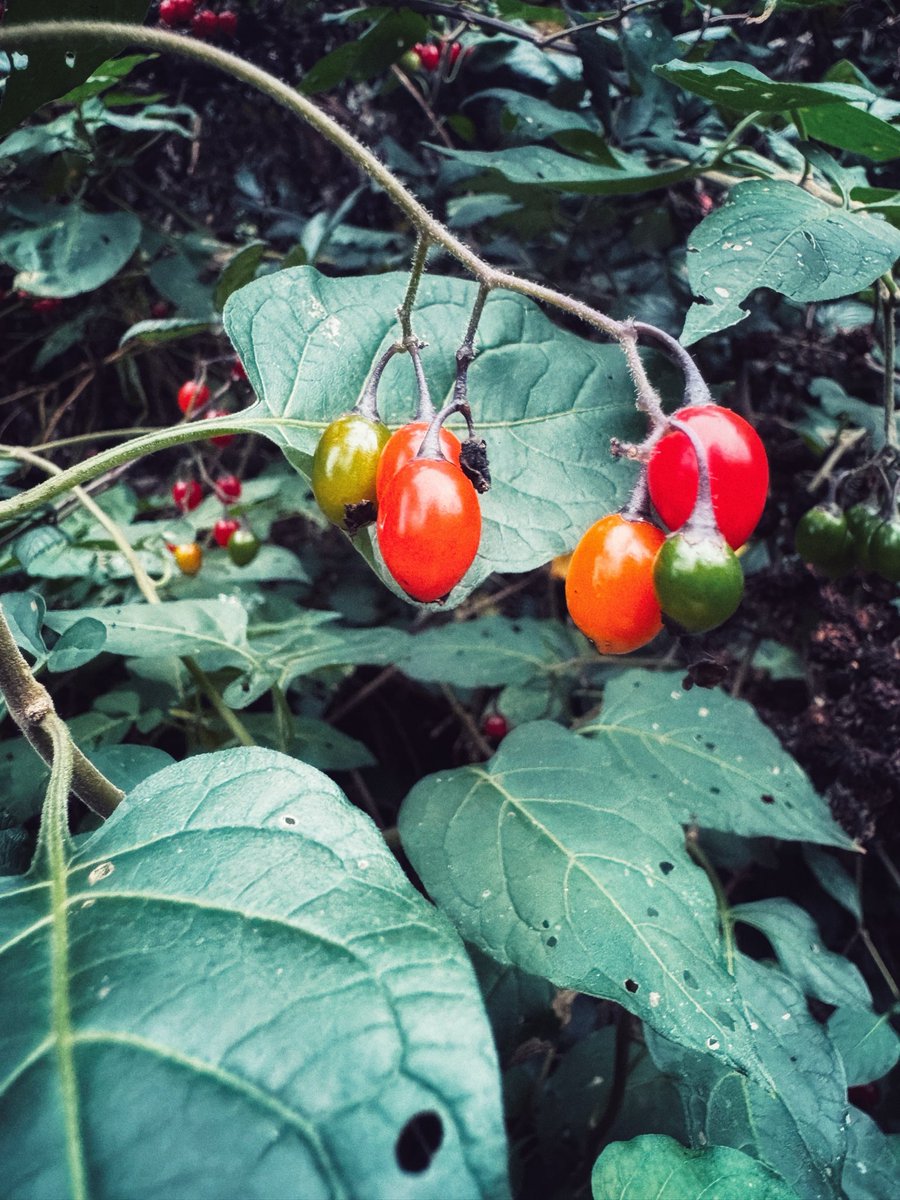 Guy Parsons tweet media