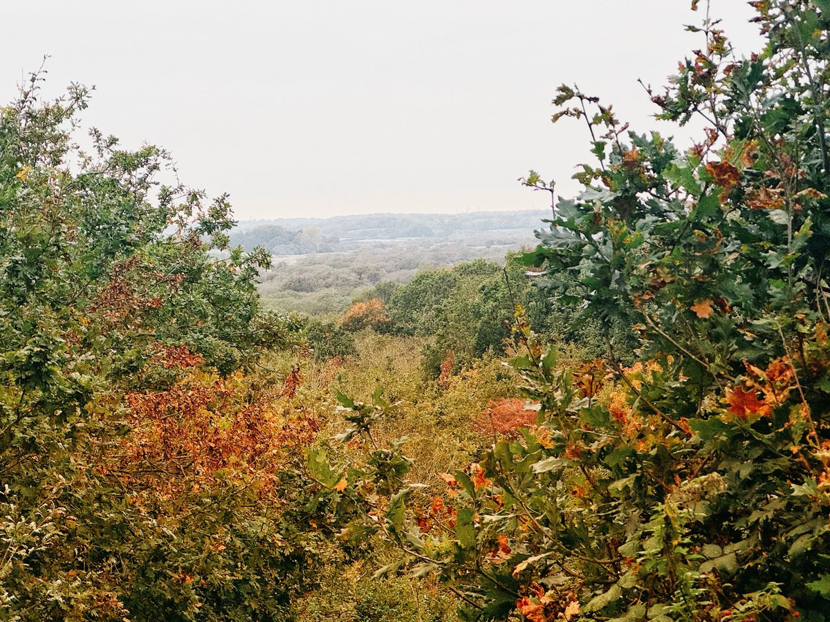 Guy Parsons tweet media