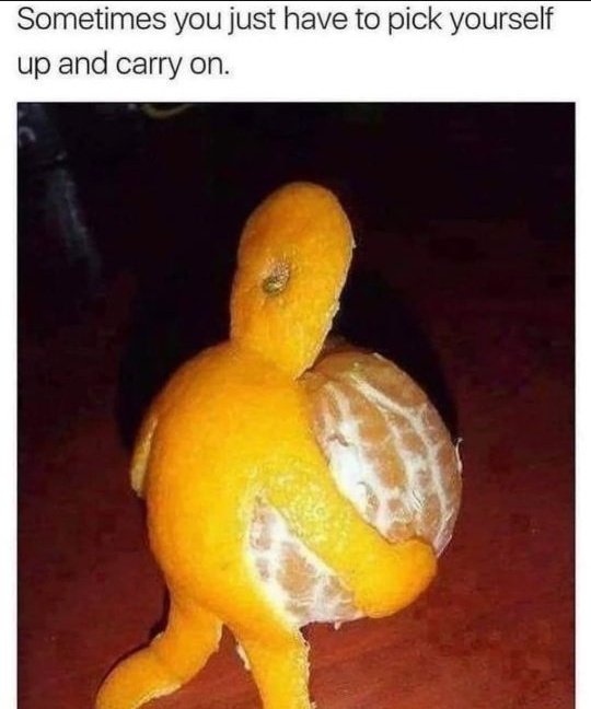 defiisbae's tweet image. Gn CT