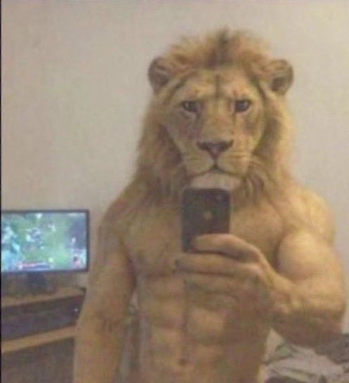 Rahaf ☾ tweet media