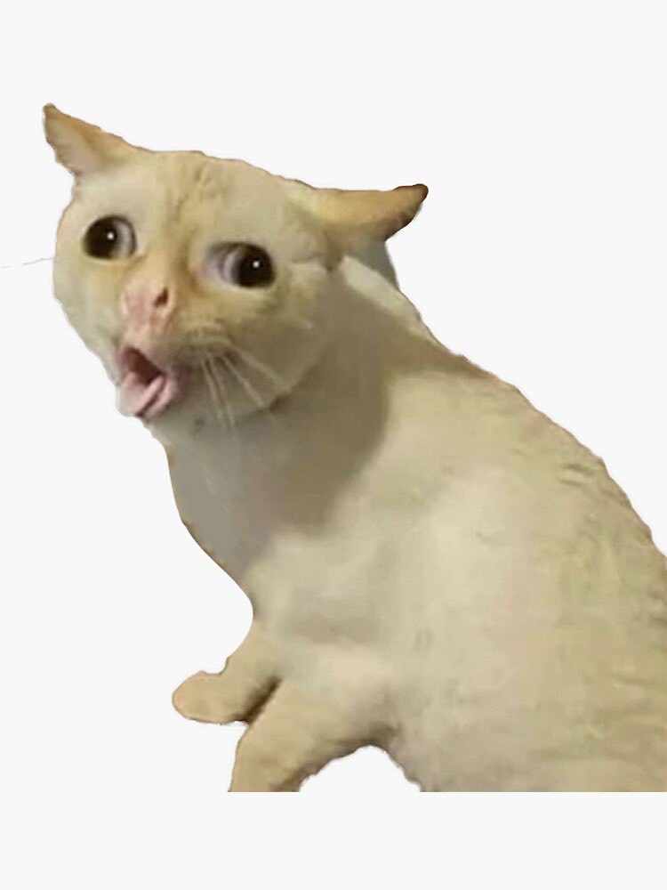 LapailleC's tweet photo. @noemiiee18 élu meilleur fou rire de l’arena tour 🤣🤣🤣🤣 https://t.co/VVErMwke74