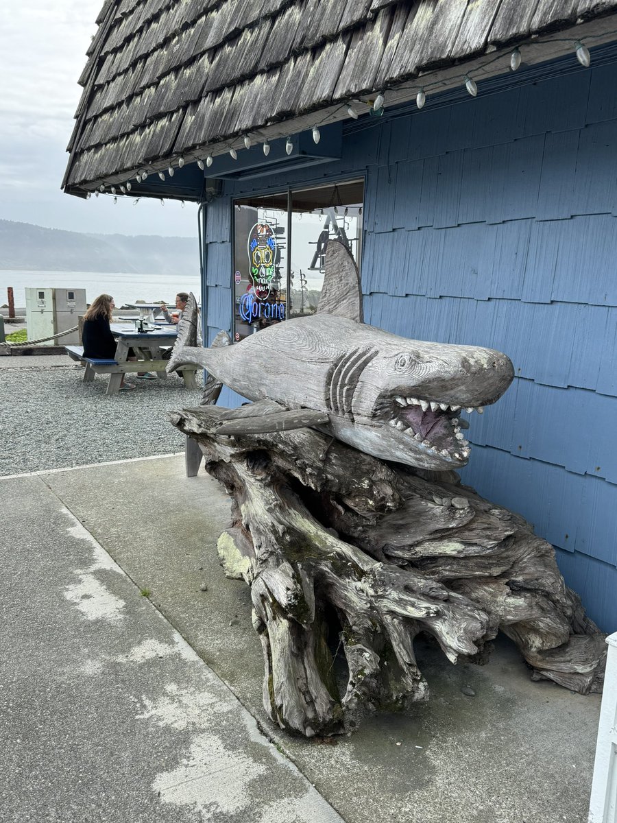 Day 30.  On the road “Again”. Cresent City, Eureka, Ft Bragg, and Mendocino.  Giant Redwoods, Paul Bunyan, Clam Chowder, Sharks, Seals and Elk on the sightseeing tour today.  Live Now -  Let’s Go

twitch.tv/lala_carpediem