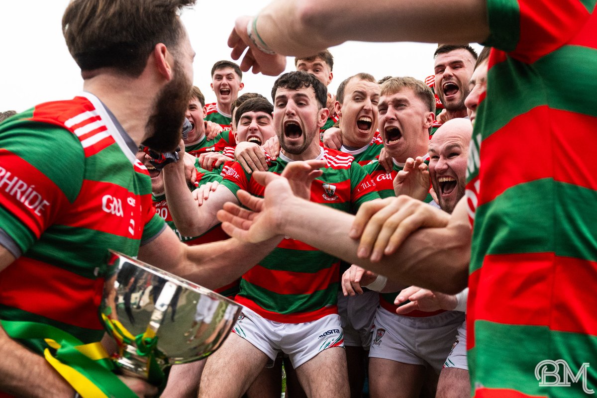 Brian Mulligan 📸 tweet media