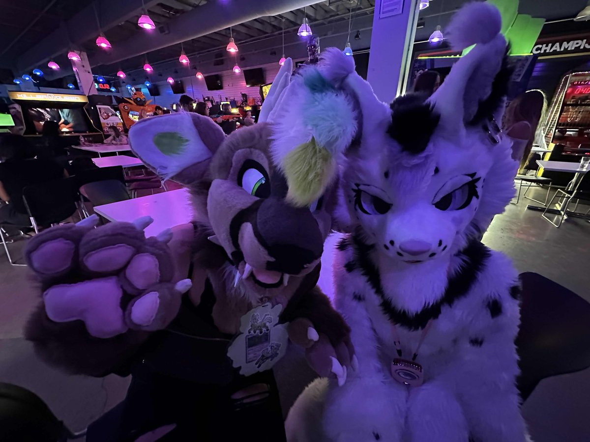 fandom night w furry frenzy!