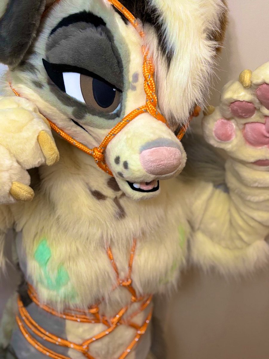 Orange

🪢Rope Top: <a href="/pupmaw/">👑 𝙺𝚞𝚛𝚝 👑</a>