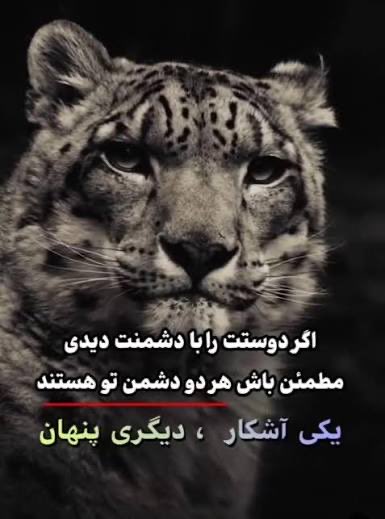 آنکه با دشمن من دوست است ، دشمن من است ...