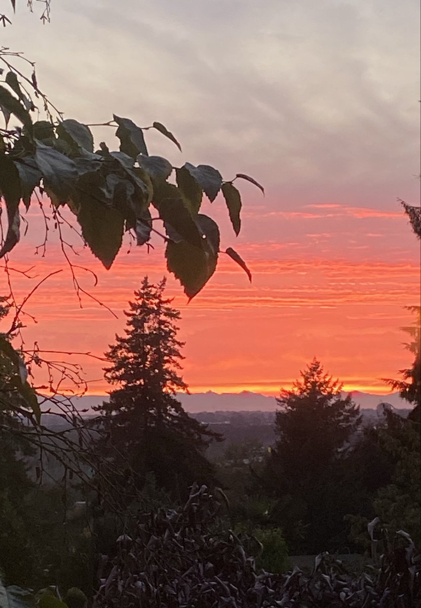 Thanksgiving weekend is happening here in Canada 🇨🇦 We have a lot to be grateful for…The colours of autumn 🍁Sunsets and the last flowers and so much more. 🧡