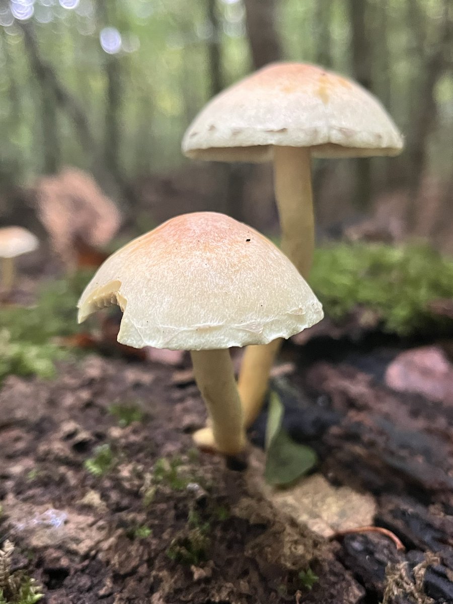 Langzaam richting de herfst!