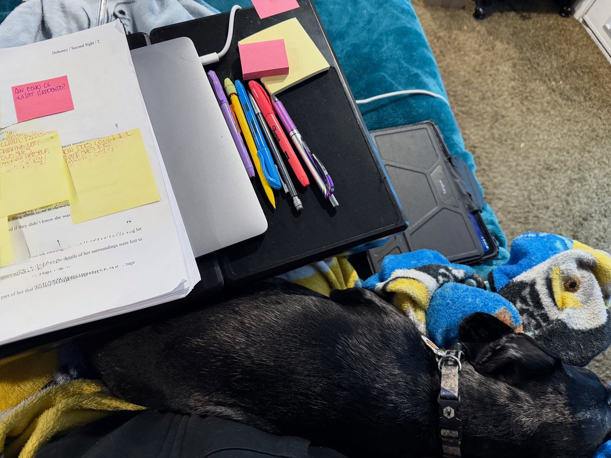 Round 5 with my trusty sidekick, Blitz Von Bratwurst. 

#WritingCommunity #AmEditing #AmRevising #UtahAuthor #TheLeagueOfUtahWriters