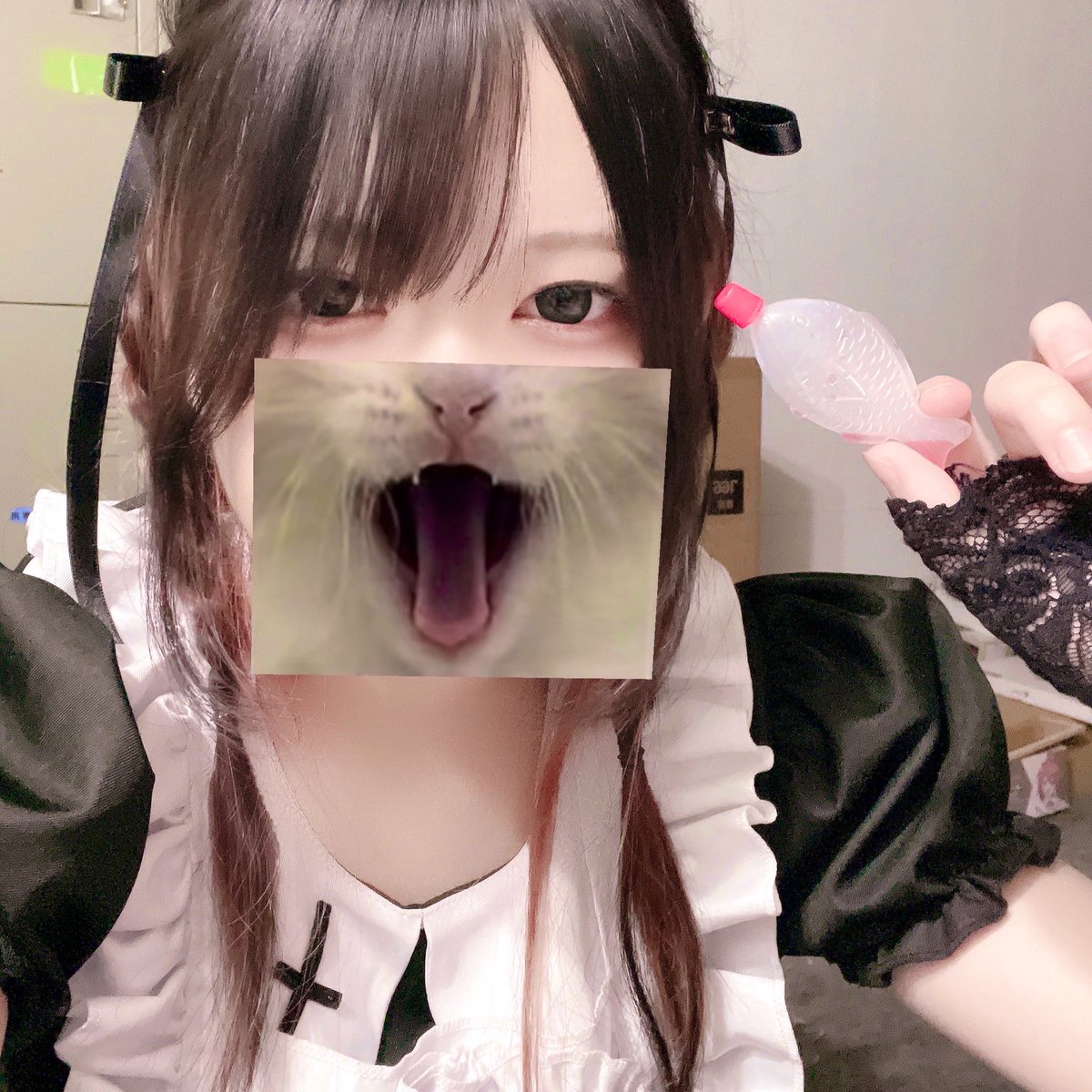 𝗖𝗟𝗢𝗦𝗘おつかにちゃん🦀
延長に延長重ねてめちゃ長い時間みんなありが㌧‼️😩❤️‍🔥
ドリンク🥤ショット🐟🍨🥃チェキ📸も助かる🙏🏻😖 ̖́-
久々にこんなわちゃちゃ日曜になったよ~❗️🕺🪩🎤
初めましてさんも!!今度はゆっくりお話しようね🫰💕
みんなお休みだからって目外しすぎないように🫵😠おやすﾐﾝ😴