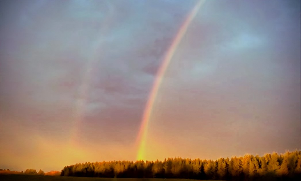 Grampa1950's tweet image. "Be a rainbow in someone else's cloud."
— Maya Angelou 
#rainbows #sky #NatureLover