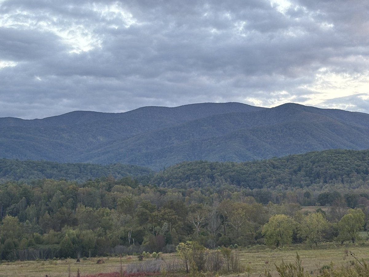 threesandd's tweet photo. Lil Smokey’s, Lil hiking, Lil CadesCove, & Lotta Football
#BestGetAwayPartner #ResetComplete https://t.co/mZ1xJQqLhS