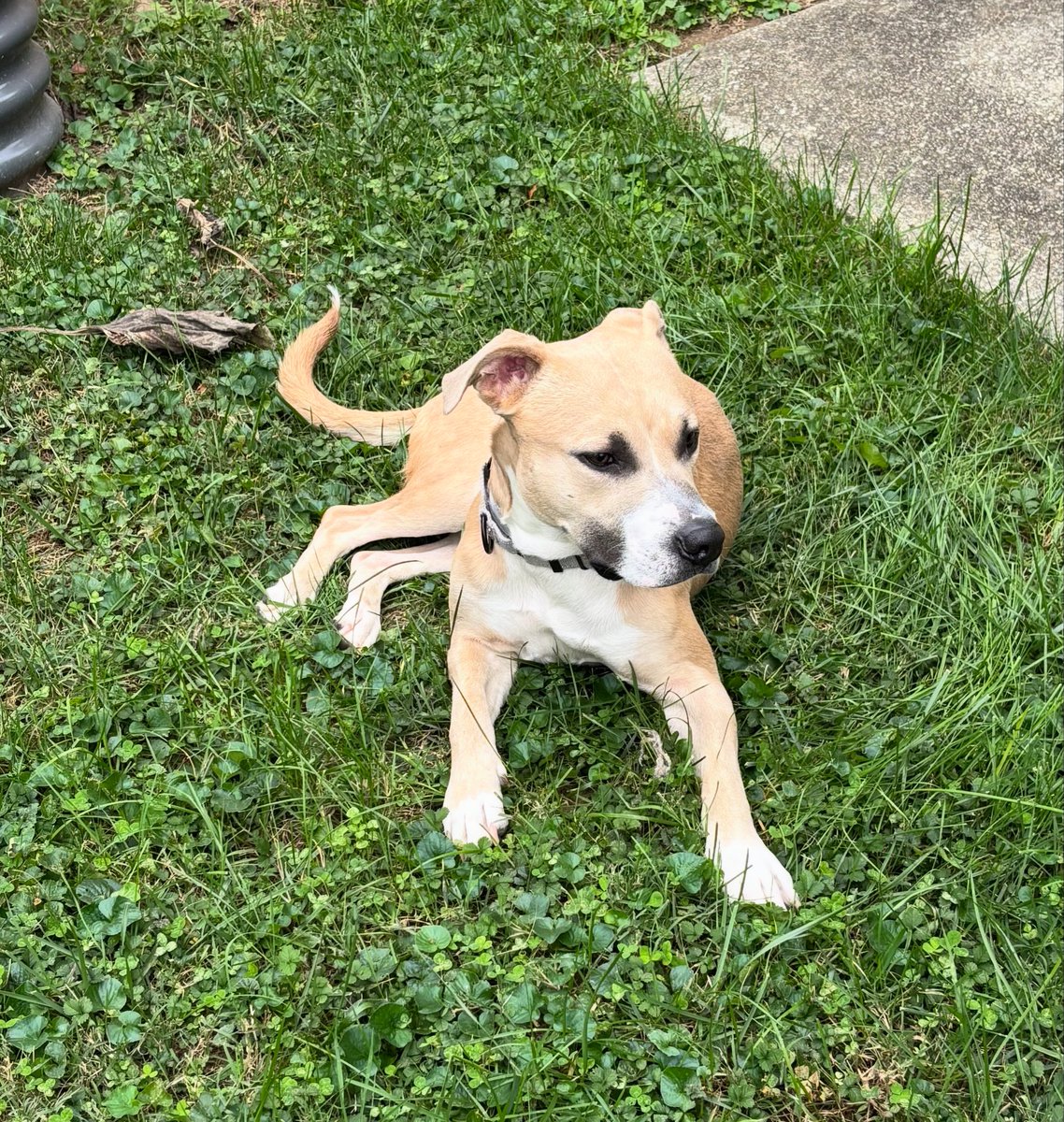 Everybody, this is Winston. Winston, this is everybody