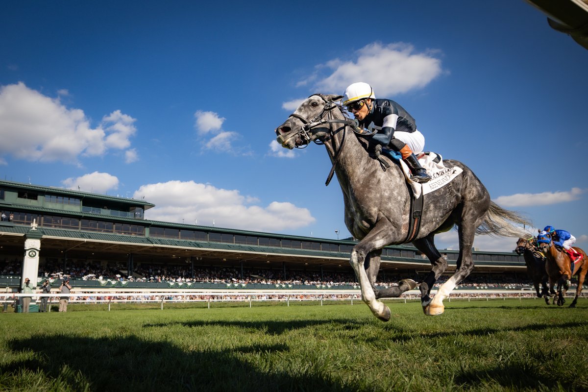 Time To Dazzle does just that in the Franklin (G2)!