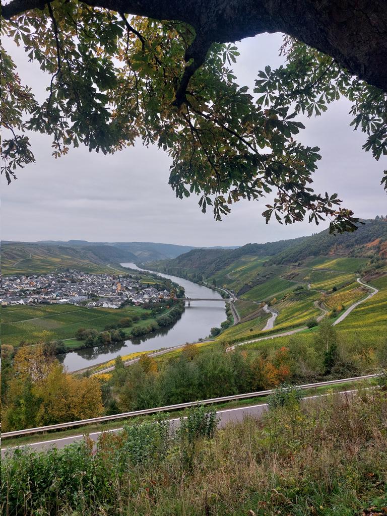 Zeit, das wertvollste Gut 

Sie mit den Liebsten zu verbringen, unbezahlbar

Danke #Bitcoin🧡

#Moselliebe