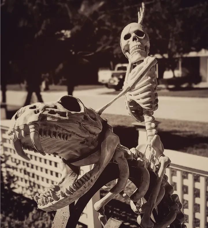 HauntFreak11's tweet image. Sunday views

- #WinterGarden #OutForAWalk #SkeletonHavingFun