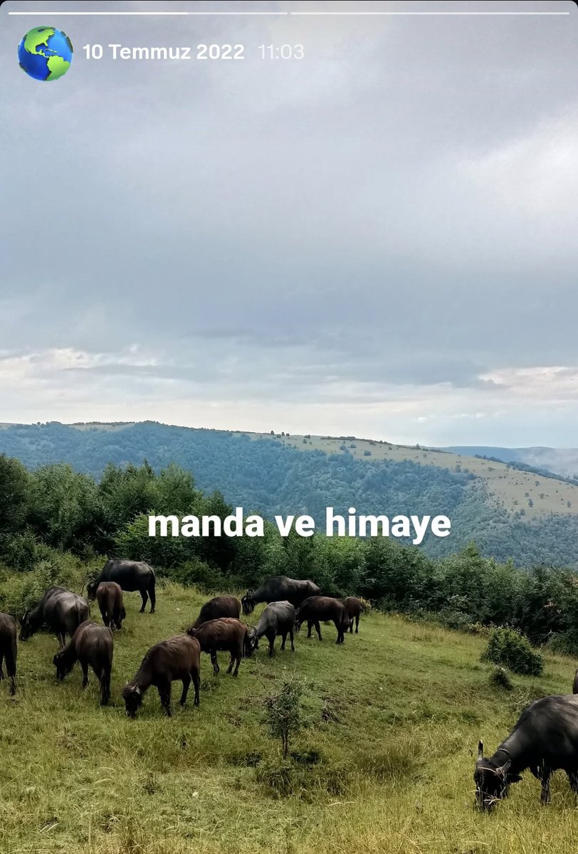 platin kızların barok sütun storylerinin yanında bizim arsiv
