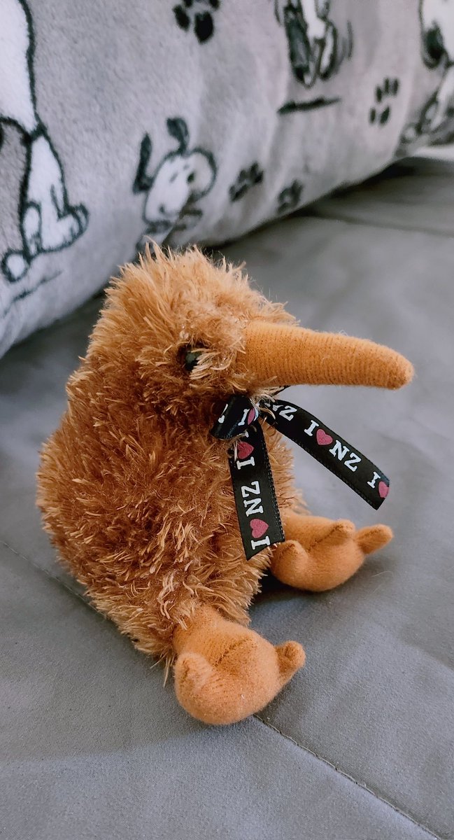 Miichel701's tweet image. #kiwi #plushtoy #plush #plushies #stuffedanimals #kawaii #plushcore #stuffed #toys #toy #stuffedanimal #collectibles #collector #toycoll3ctibles #toycollector