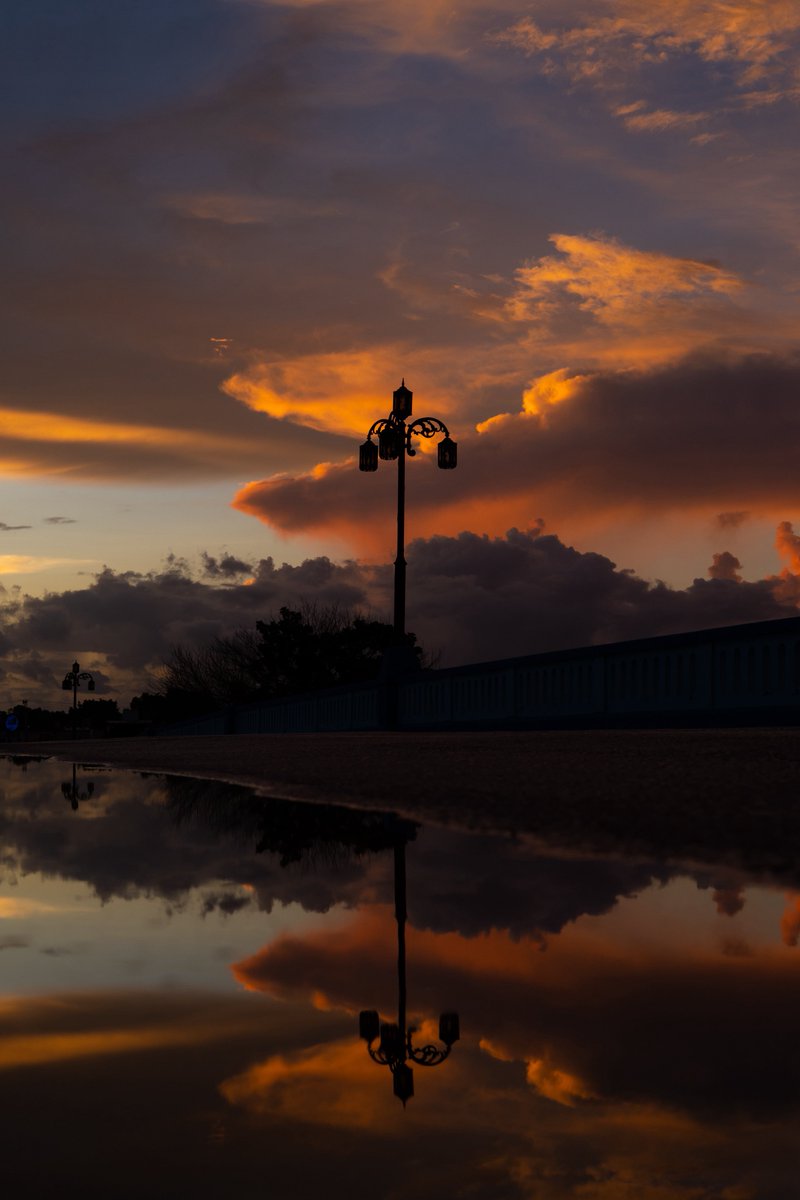 𝐏𝐚𝐛𝐥𝐨 𝐌 tweet media