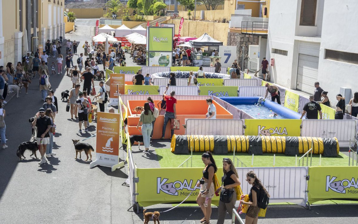 SolActualidad's tweet image. Animundo acoge cerca de 6.000 visitantes comprometidos con el cuidado y el bienestar animal. @infecar #Animundo #BienestarAnimal #GranCanaria n9.cl/tc1zd