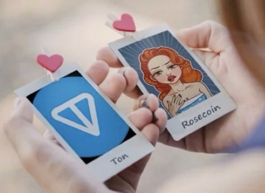 WhatNotCrypto's tweet image. ALPHA 🌹