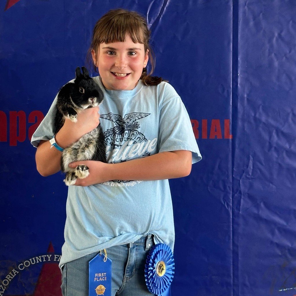Congratulations to 4th grader, Madilyn P for winning 1st place &amp; Best of Breed for her Netherland Dwarf Rabbit at the Brazoria County Fair. #WilderWolves #BuildingBrightFutures #AllinAlvinISD