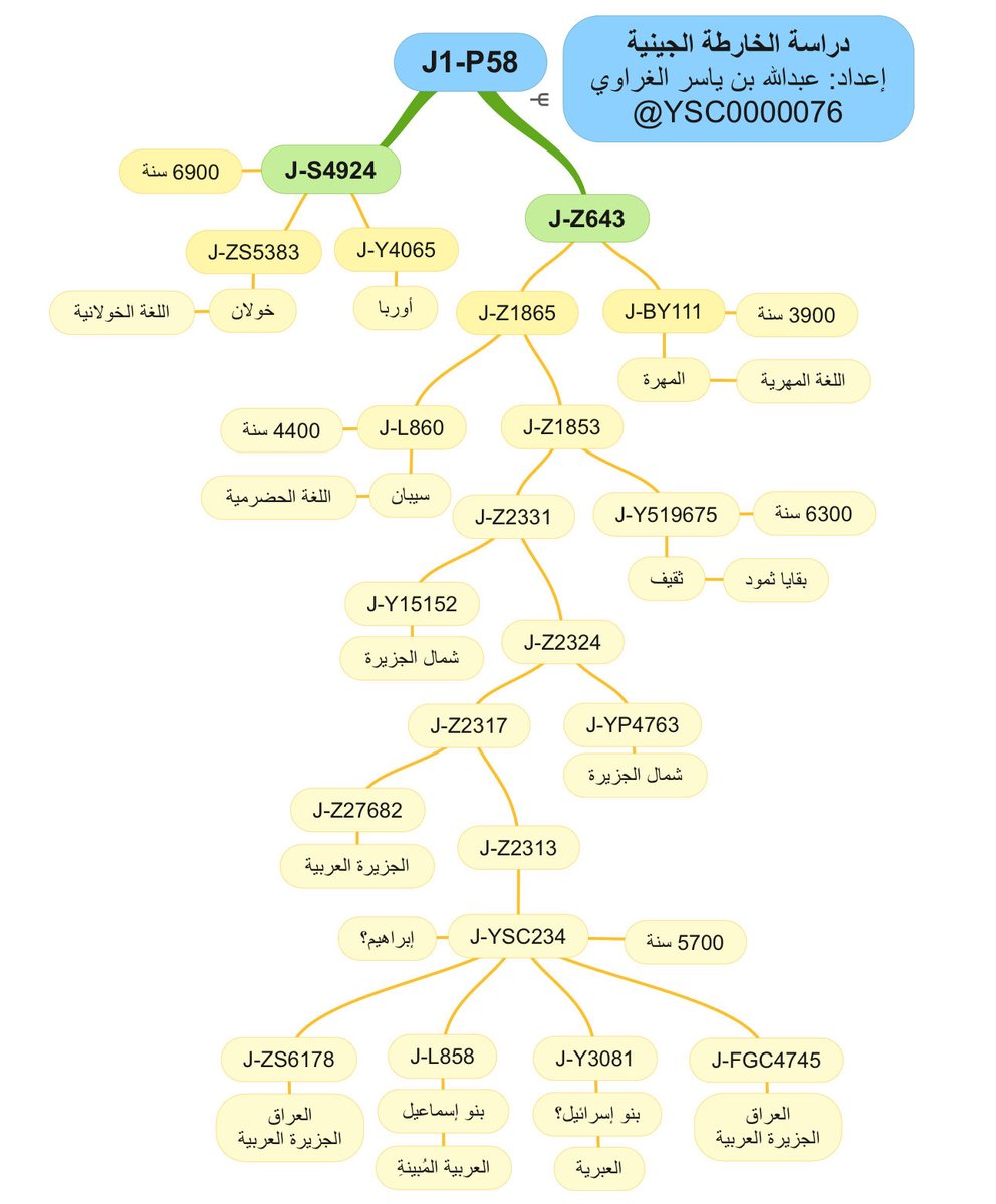 دراسة الخارطة الجينية.
