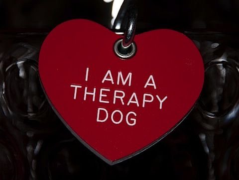 i wanna wear one of these bad boys around