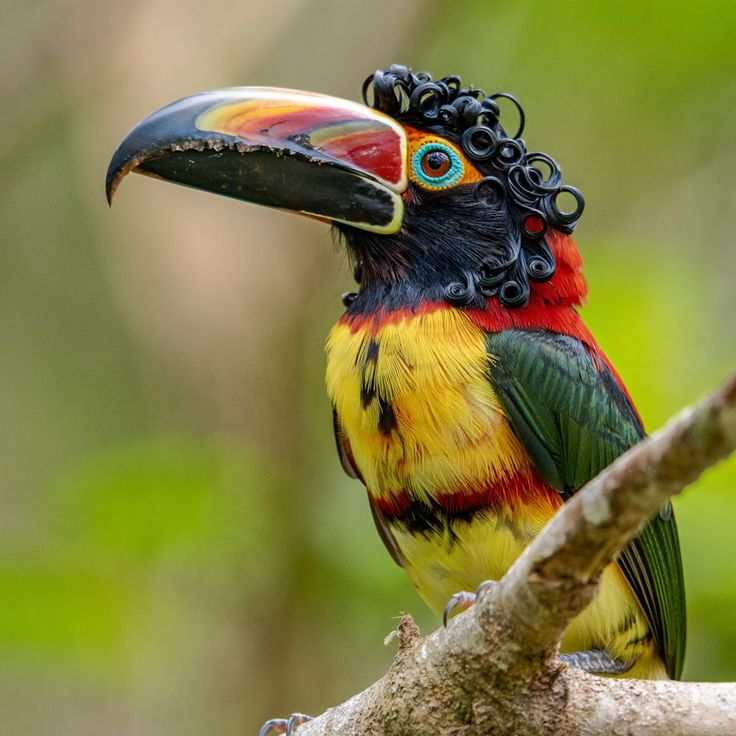 Worldwild05 (@worldwild05) on Twitter photo 