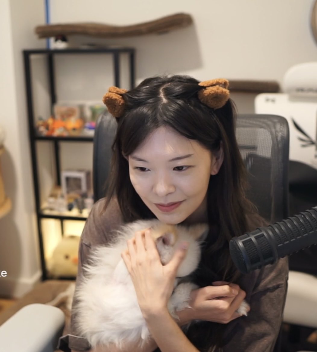 Reena 🐉🌼🍀✨ tweet media