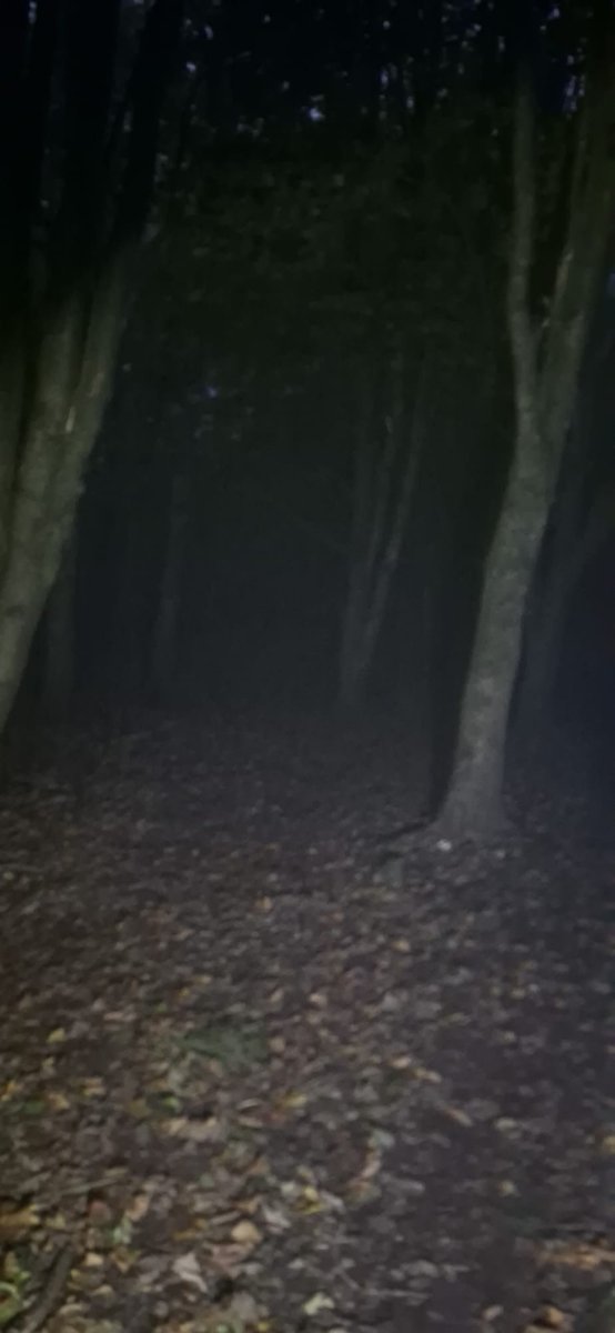 void_corpsexo's tweet photo. In my restless dreams i see that town. #silenthill You promised you'd take me there again someday but you never did.‼️🖤💤 

@CORPSE
the fog 
a certain video game

i miss him #corpsetwt https://t.co/umilEFITDf