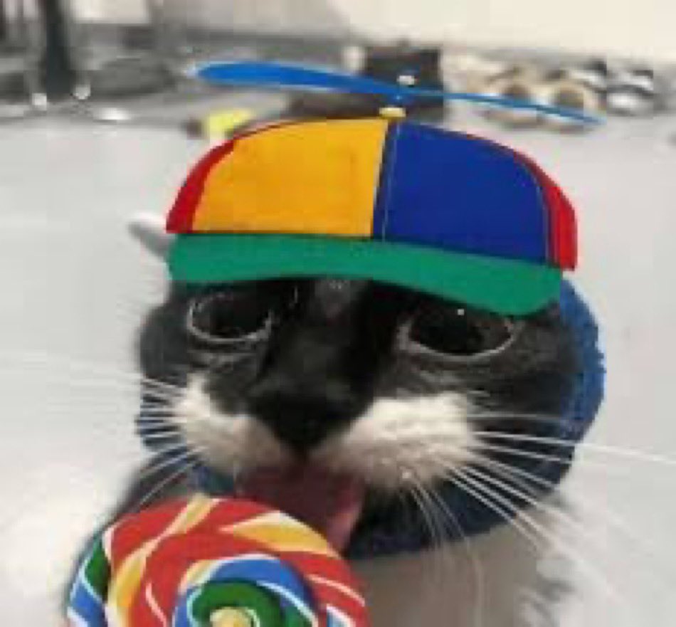 hashlralove's tweet image. ⠀⠀ ⠀⠀
marshmallow.⠀  if  i  try  interacting  with  you  but  all  my  interactions  get  ignored  then  i’ll  stop  trying  .  i  get  being   selective  but  if  you  are  not  interested  in  my  muse  just  say  so  pls  .  i  don’t  wanna  waste  my  time  .
⠀