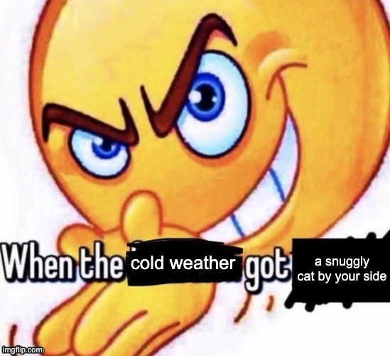 gatorsafterdark's tweet image. 