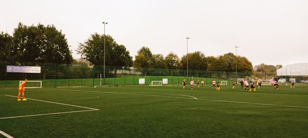 yorkshiregroundhopper tweet media