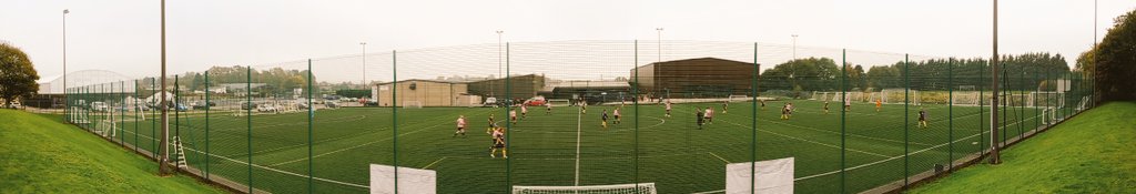 yorkshiregroundhopper tweet media
