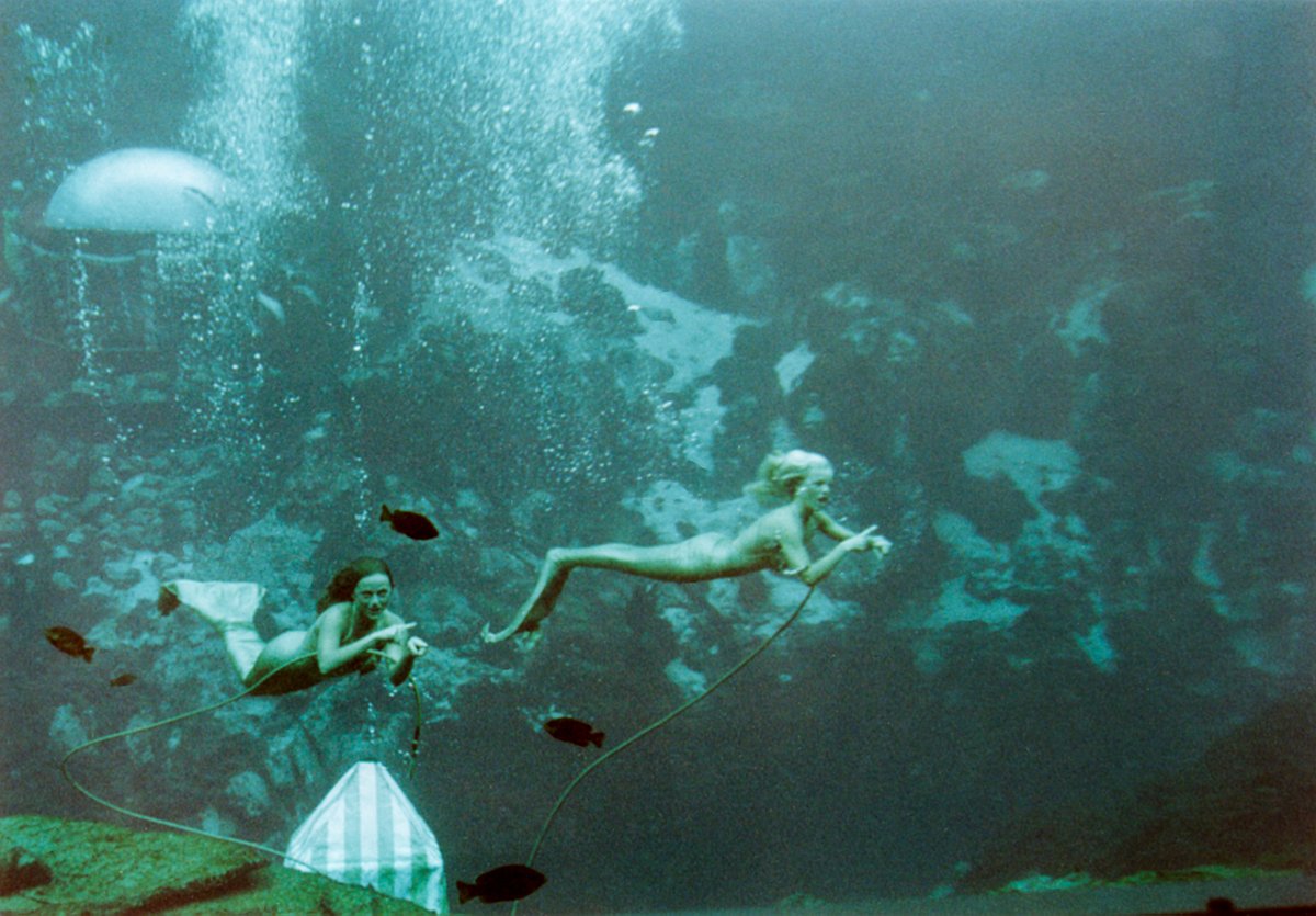 Assembly Curated tweet media